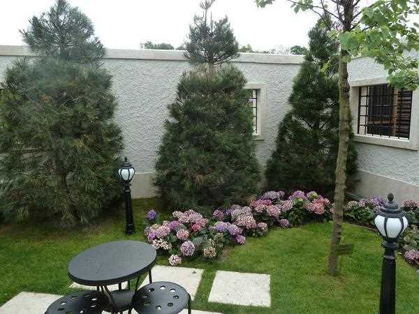 EXPO HOLLANDA TÜRK PAVYONU